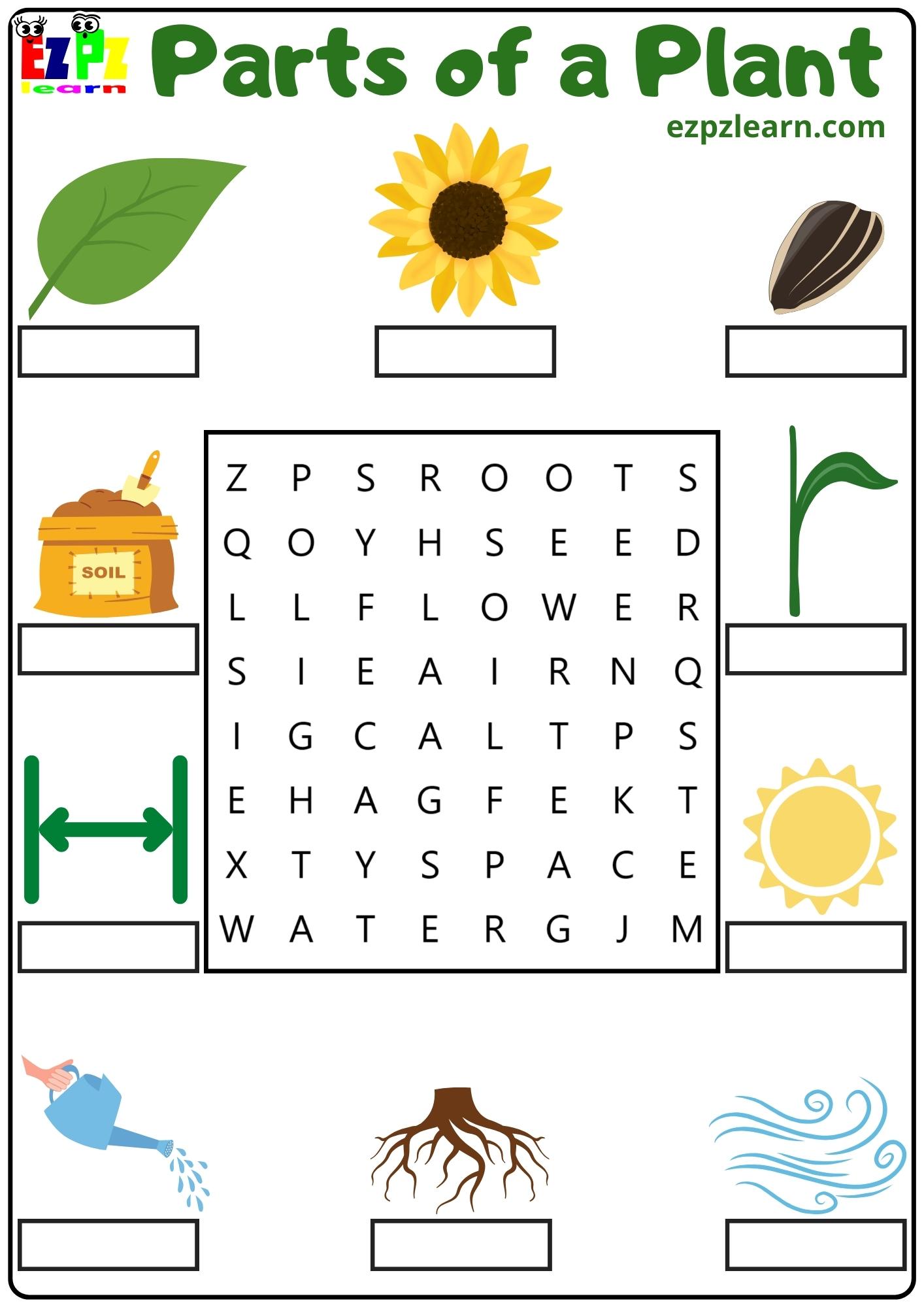 parts-of-a-plant-word-search-and-write-the-words-for-kids-and-english